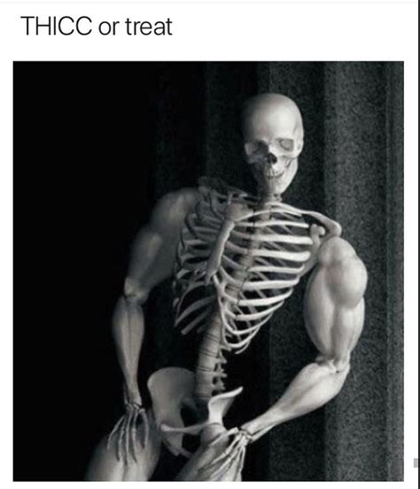 Skeleton Meme Template